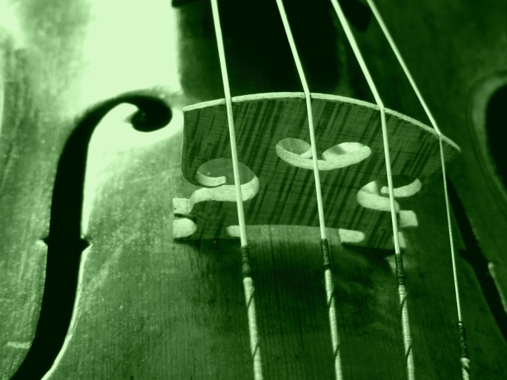 violin bridge